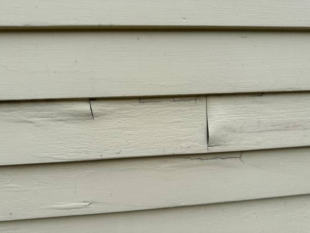 Best Siding Painting and Refinishing  in Upper Exeter, PA